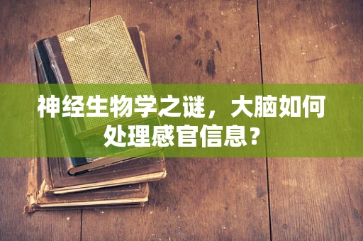 神经生物学之谜，大脑如何处理感官信息？