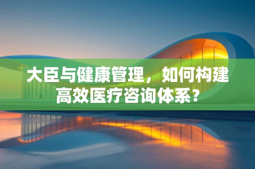 大臣与健康管理，如何构建高效医疗咨询体系？