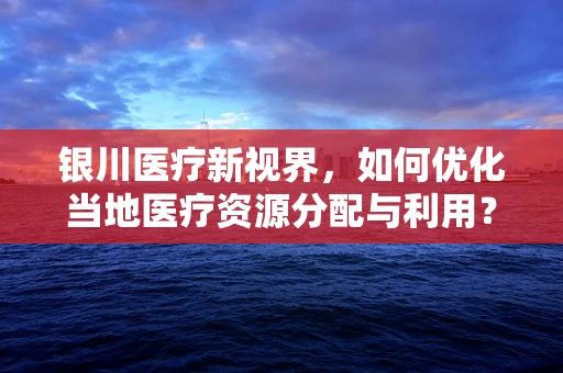 银川医疗新视界，如何优化当地医疗资源分配与利用？