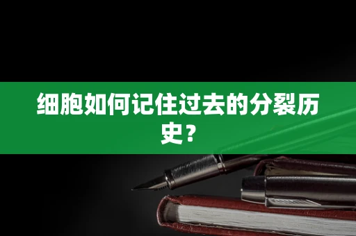 细胞如何记住过去的分裂历史？