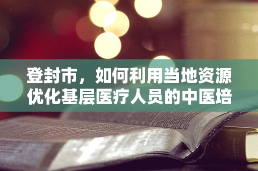 登封市，如何利用当地资源优化基层医疗人员的中医培训？