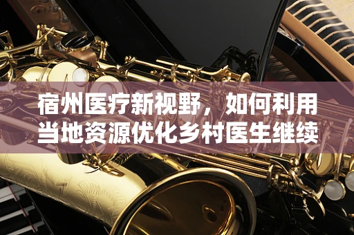 宿州医疗新视野，如何利用当地资源优化乡村医生继续教育？