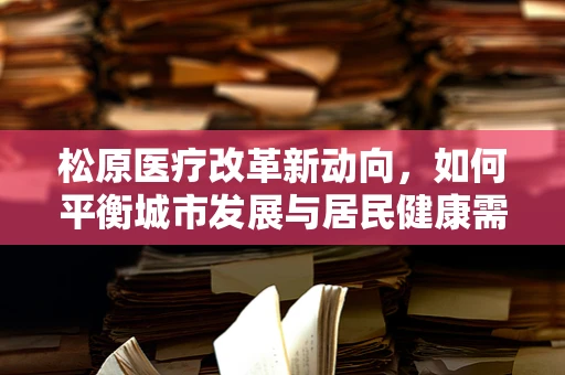 松原医疗改革新动向，如何平衡城市发展与居民健康需求？