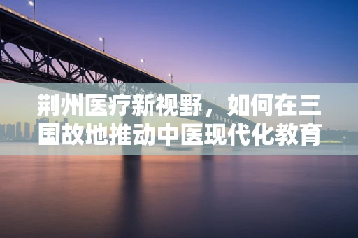 荆州医疗新视野，如何在三国故地推动中医现代化教育？