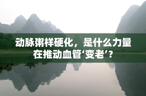 动脉粥样硬化，是什么力量在推动血管‘变老’？