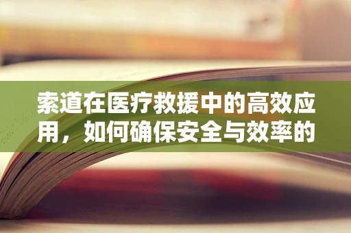 索道在医疗救援中的高效应用，如何确保安全与效率的双重保障？