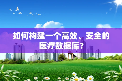 如何构建一个高效、安全的医疗数据库？