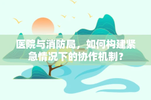 医院与消防局，如何构建紧急情况下的协作机制？